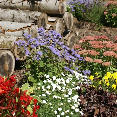 Nettancourt Family Hébergement de vacances